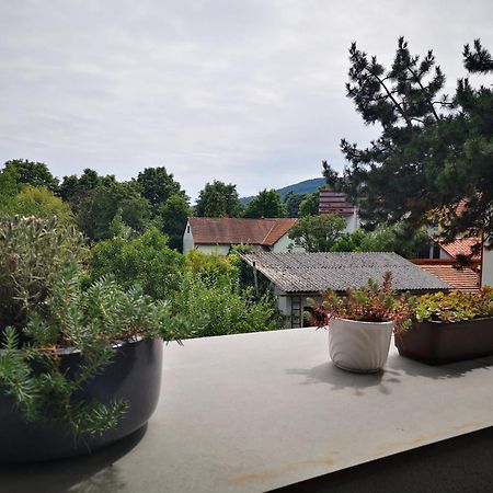 Spacy Apartment Next To The Center Of Graz With Terrasse Exterior foto