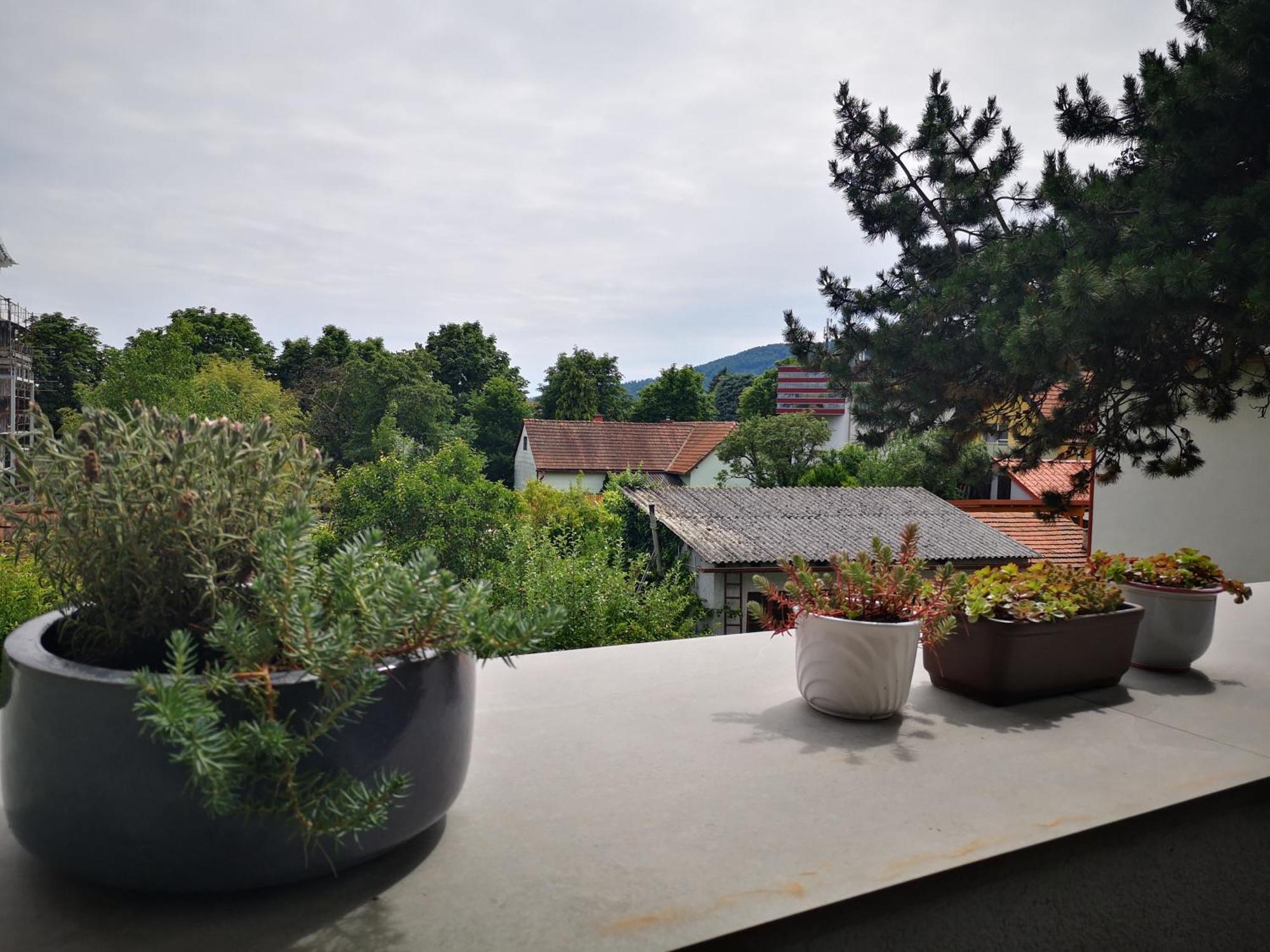 Spacy Apartment Next To The Center Of Graz With Terrasse Exterior foto